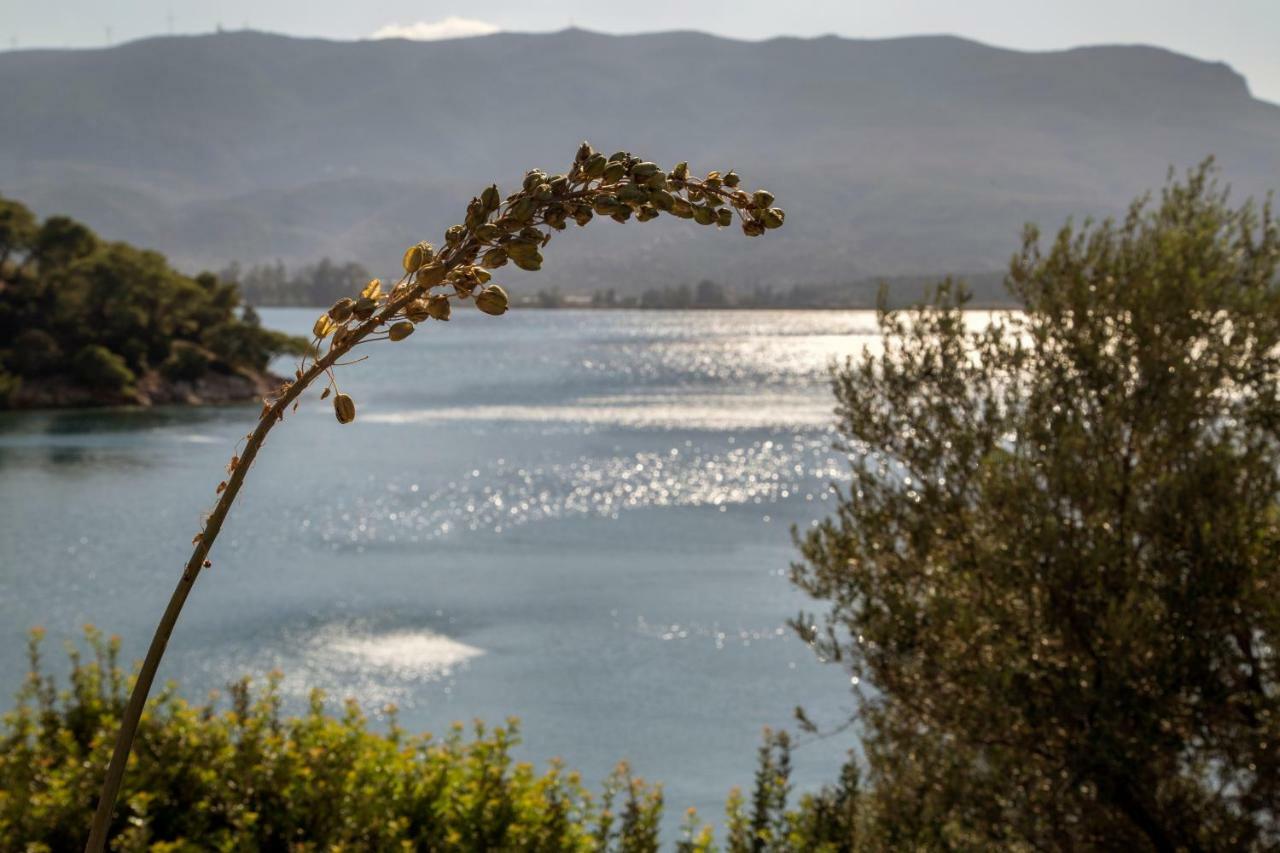 Kalavria Luxury Suites - Magnificent Sea View Of Poros Poros Town エクステリア 写真
