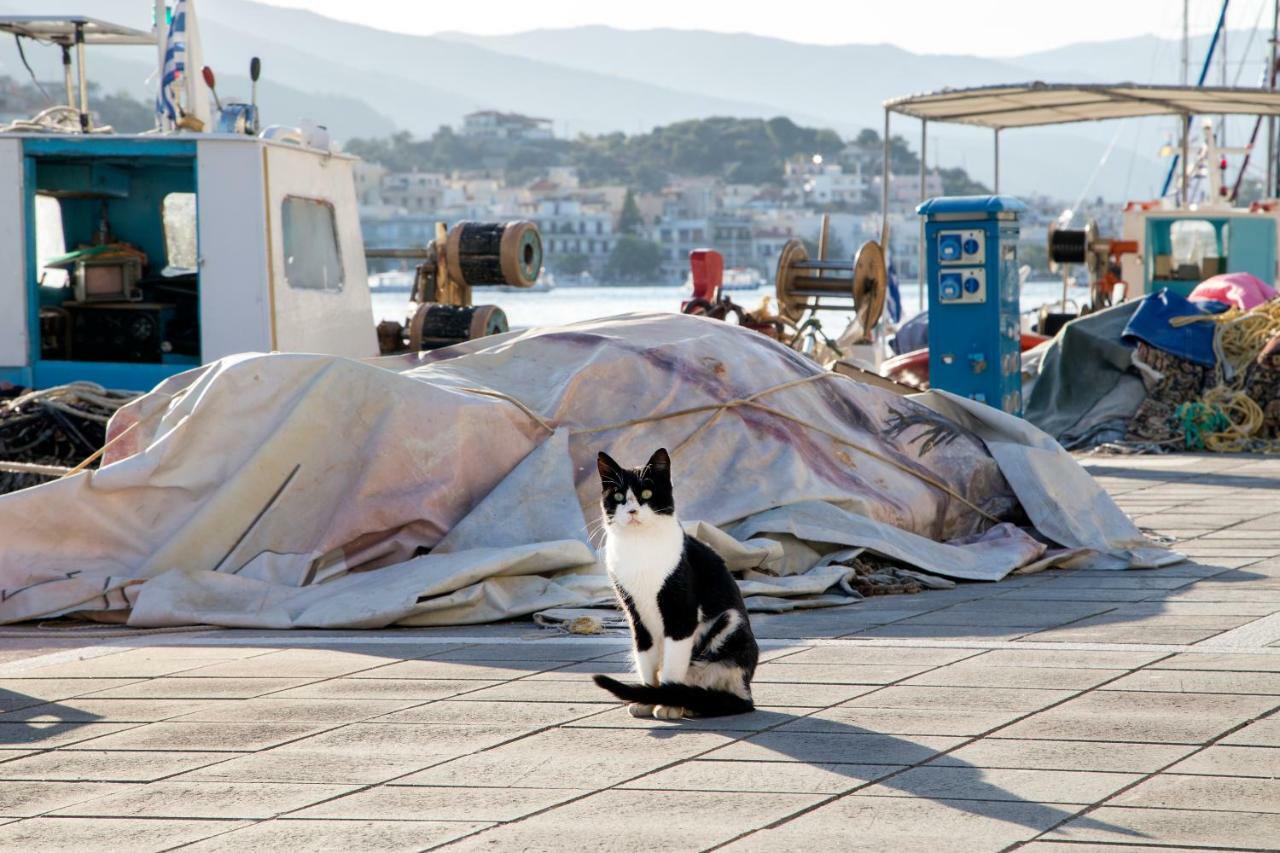 Kalavria Luxury Suites - Magnificent Sea View Of Poros Poros Town エクステリア 写真